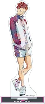 Amazon.co.jp: ハイキュー!! TO THE TOP 天童覚 Ani Art 第5弾